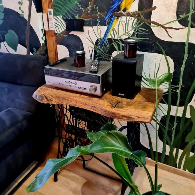 Pieninska Dzungla Apartment